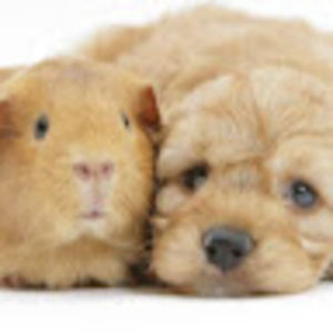 Meet your Posher, Ruth